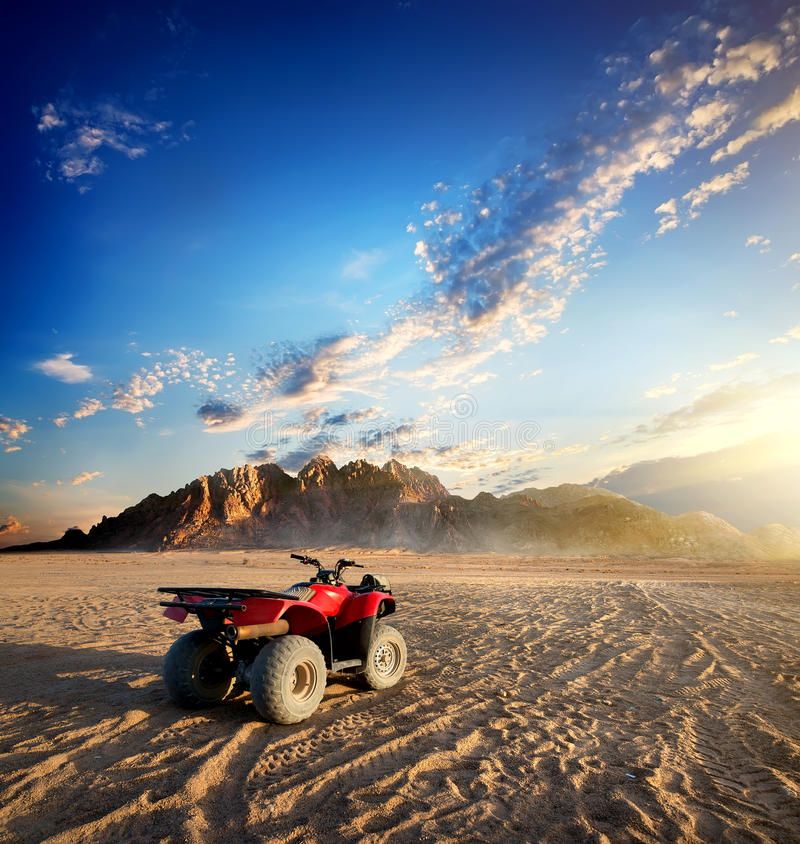 Desert Safaris and Adventure Activities
