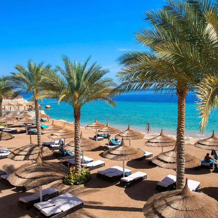 Soma Bay red sea