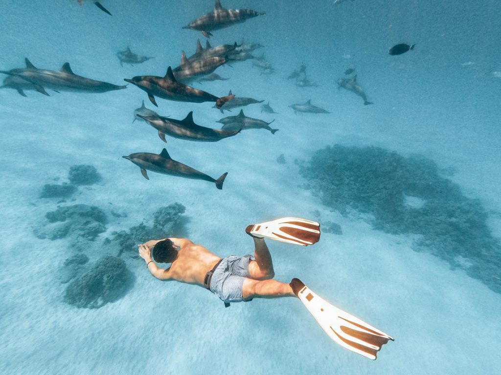 Marsa Alam Excursions
