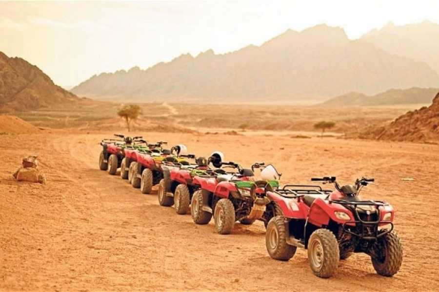 safari egypt