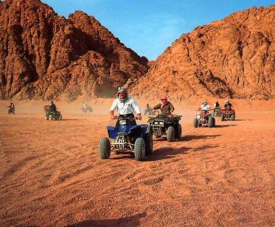 safari egypt