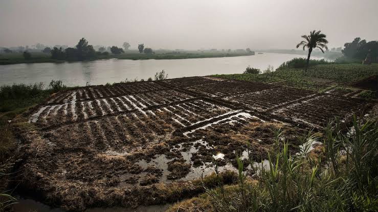 Agriculture and Farming: The Foundation of Life Along the Nile