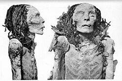 Ahmose-Nefertari mummy