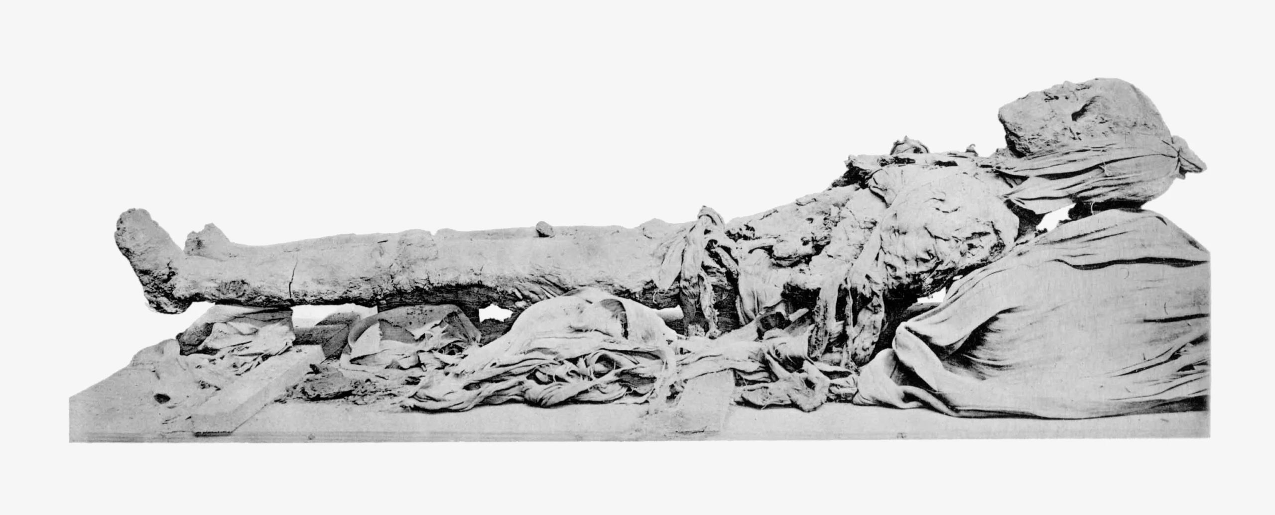 Amenhotep III mummy