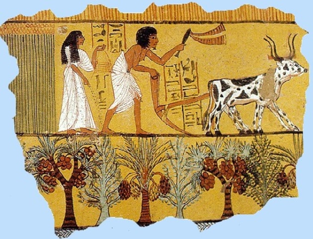 Ancient Egypt – Agriculture System