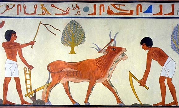 Ancient Egypt – Animal Farming