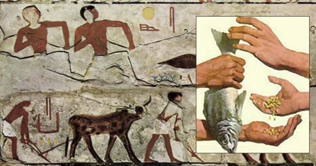 Ancient Egypt – Currency System