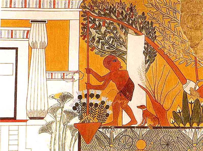Ancient Egypt – Innovation and Science