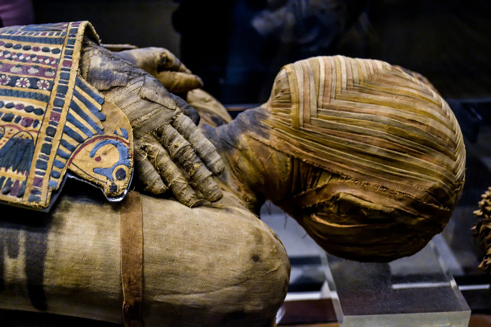 Ancient Egyptian mummies