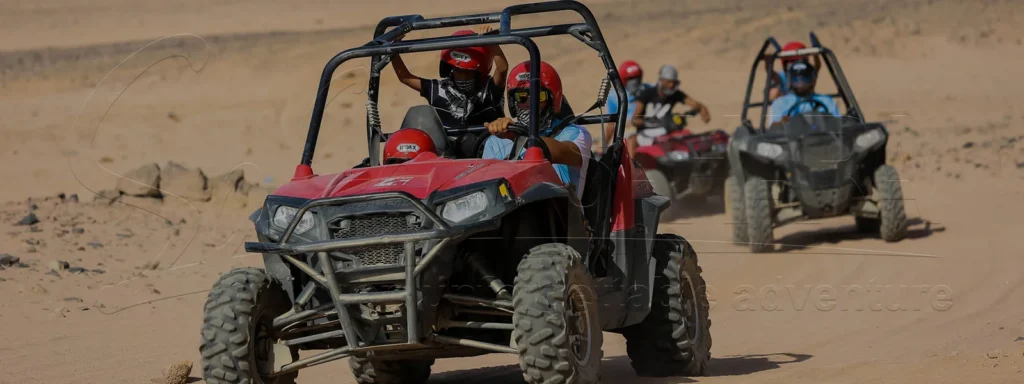 Buggy Safari Polaris RZR