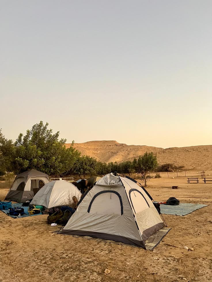 Desert Camping