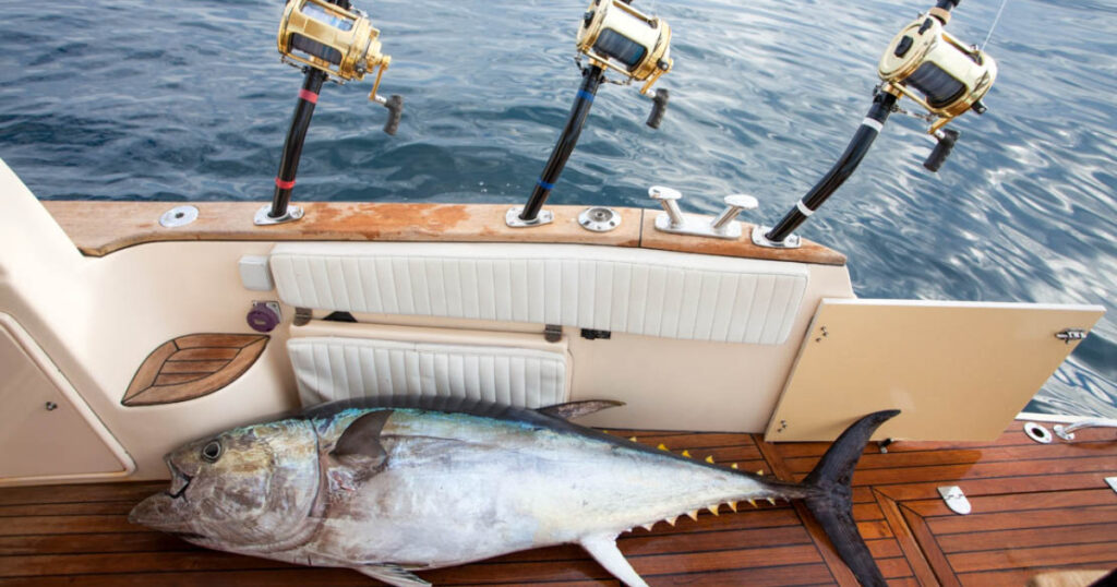 Fishing in the red sea -Try Egypt Tours