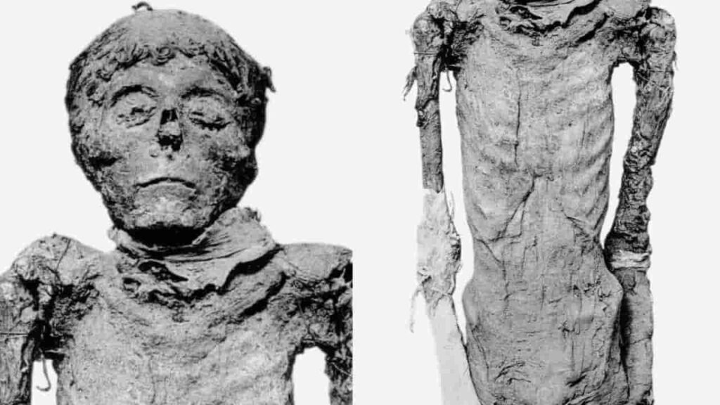Kamose mummy