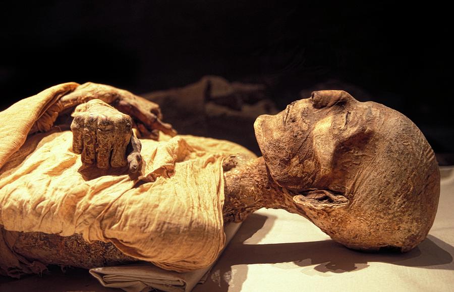 Merneptah mummy