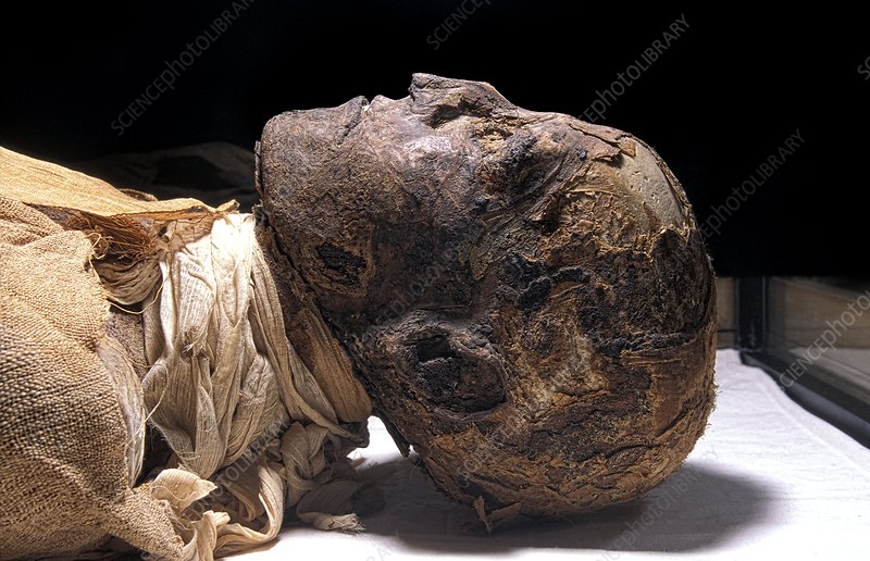 Ramesses III mummy