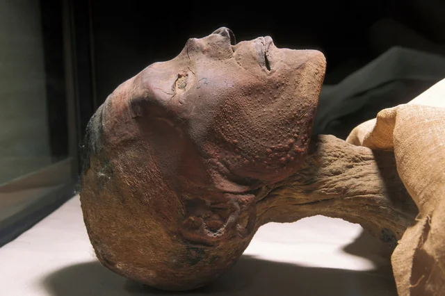 Ramesses IV mummy