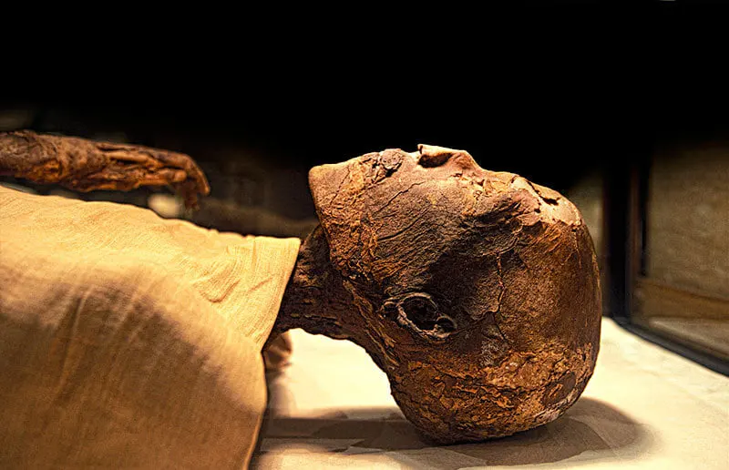 Ramesses V mummy