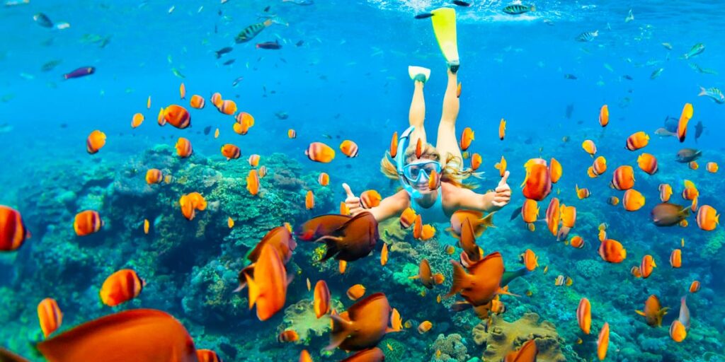 Snorkeling in the Red sea - Try Egypt tours