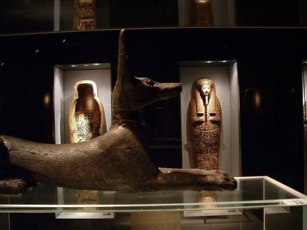 Mummification Museum – Try Egypt Tours