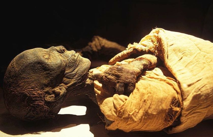Thutmose II mummy