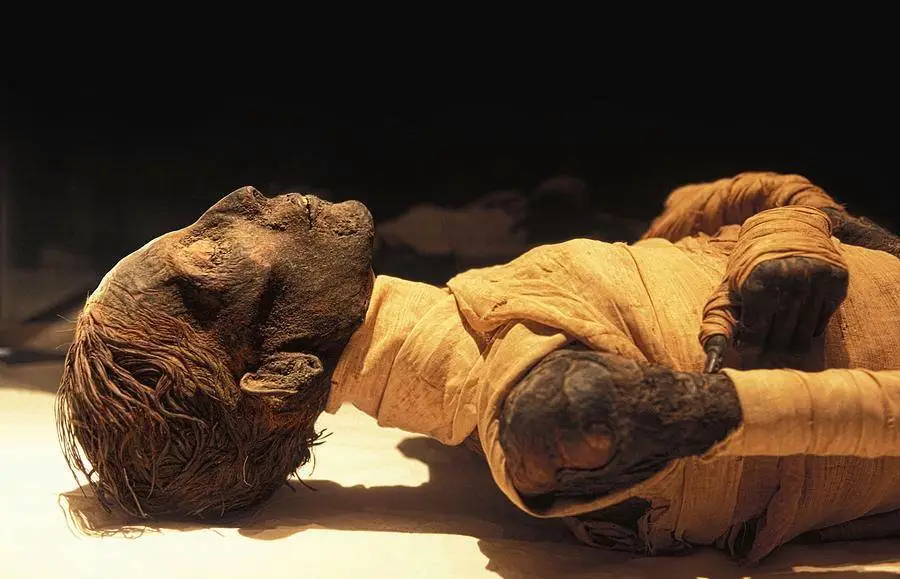 Thutmose IV mummy
