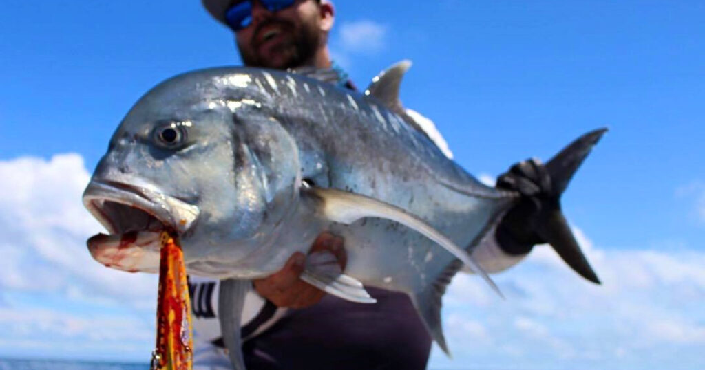 fishing tours in the red sea