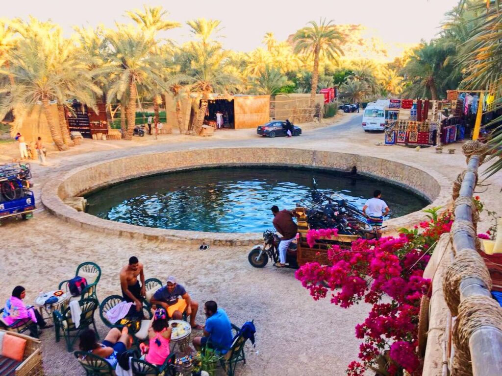 siwa oasis