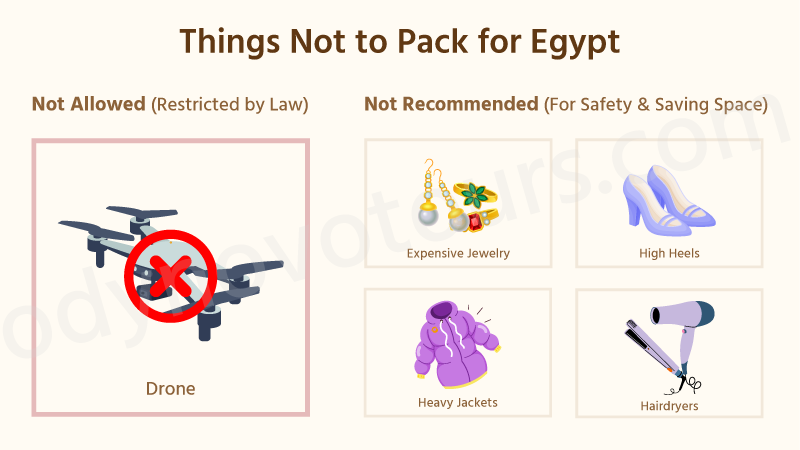 What Can You Not Bring Into Egypt?
