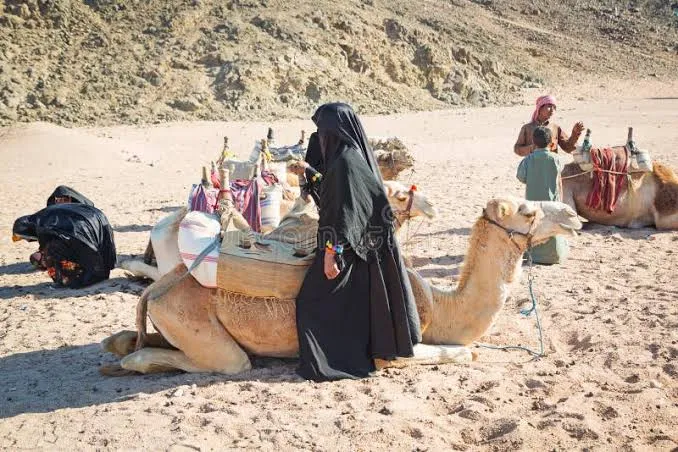 Bedouin Villages in the Egyptian Desert
