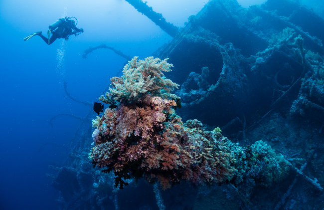 Brothers Islands – Advanced Red Sea Diving