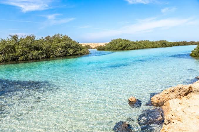 Ras Mohammed National Park – Sharm El Sheikh