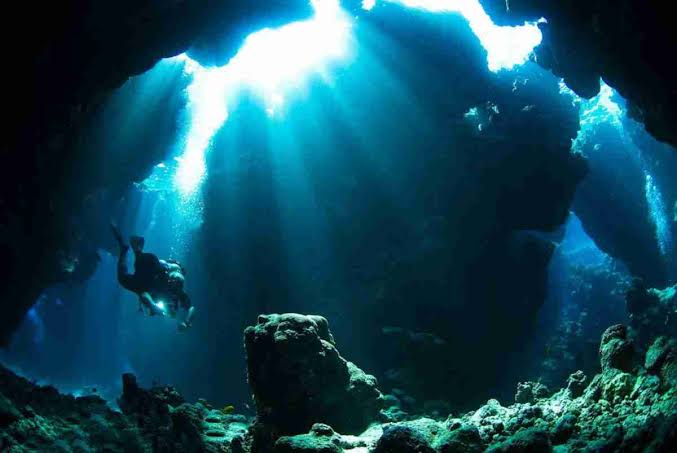 St. John’s Reefs – Deep South Red Sea Diving